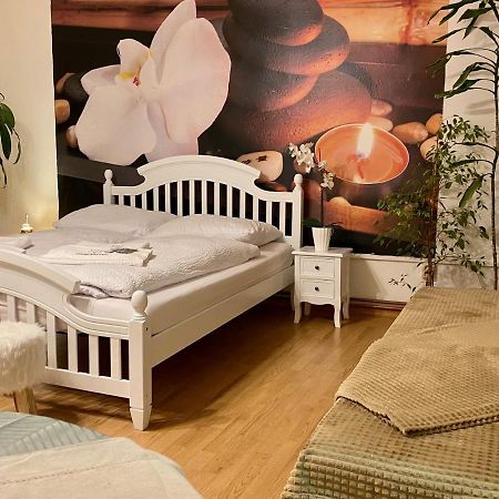 Beauty-Spa Apartment Decin Eksteriør billede