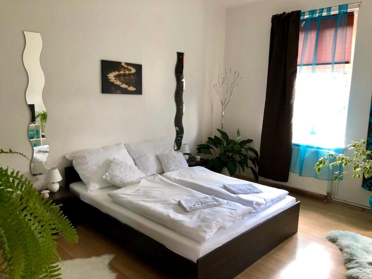 Beauty-Spa Apartment Decin Eksteriør billede