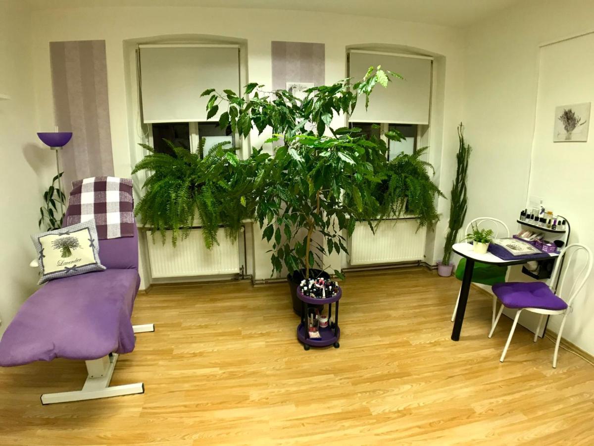 Beauty-Spa Apartment Decin Eksteriør billede